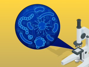 Visual excerpt of a slide on a microscope tray